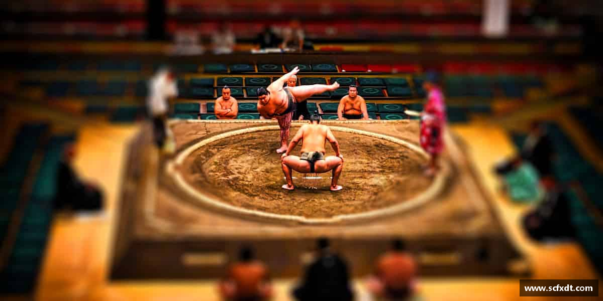 解读好博(中国)体育